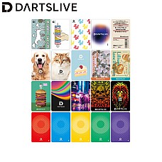 DARTSLIVE 會員卡 #053 202311